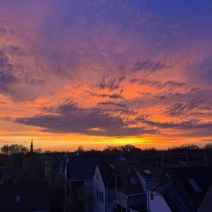 Meet your Posher, Lilly